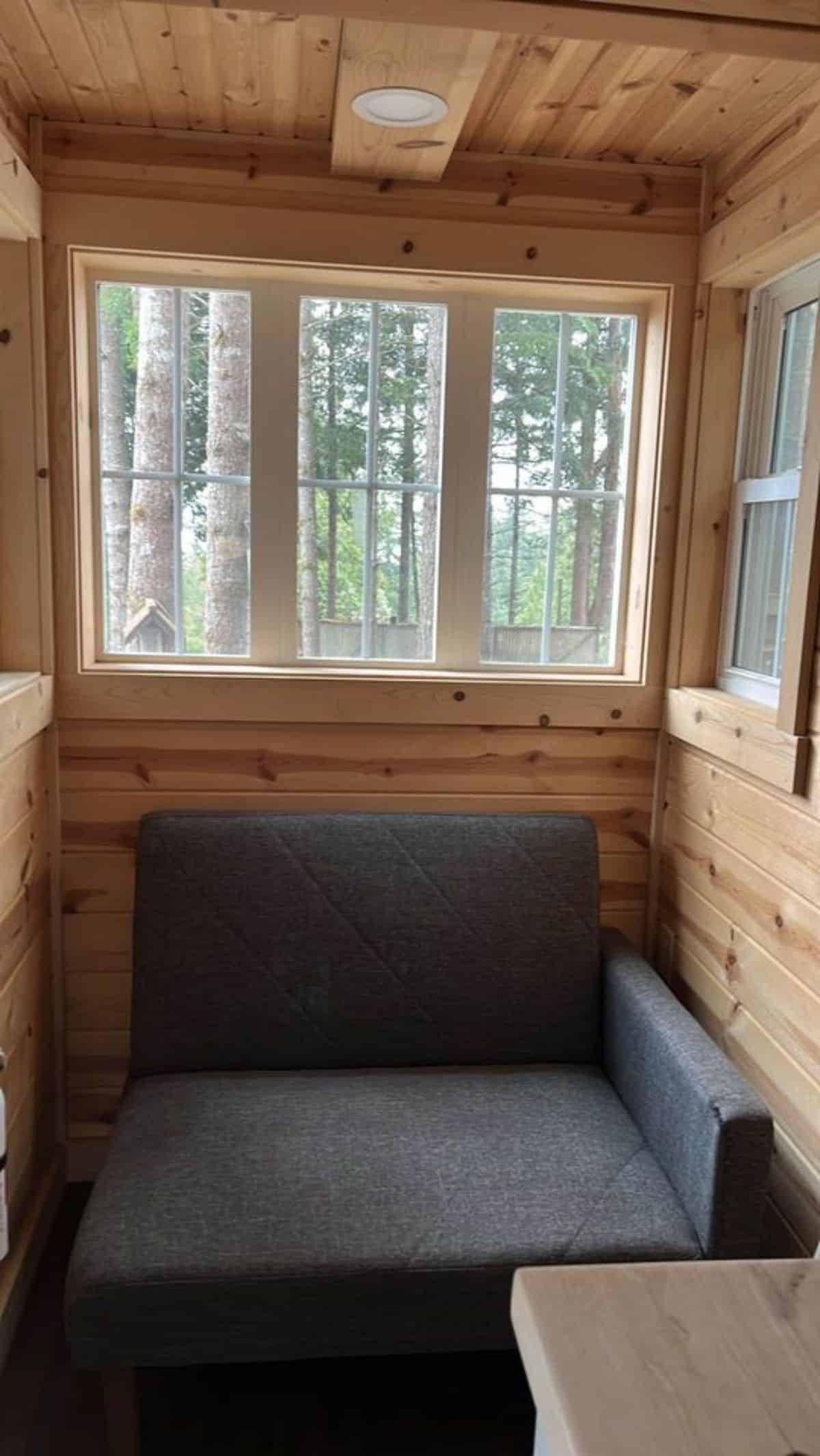 living area has a 3 seater couch