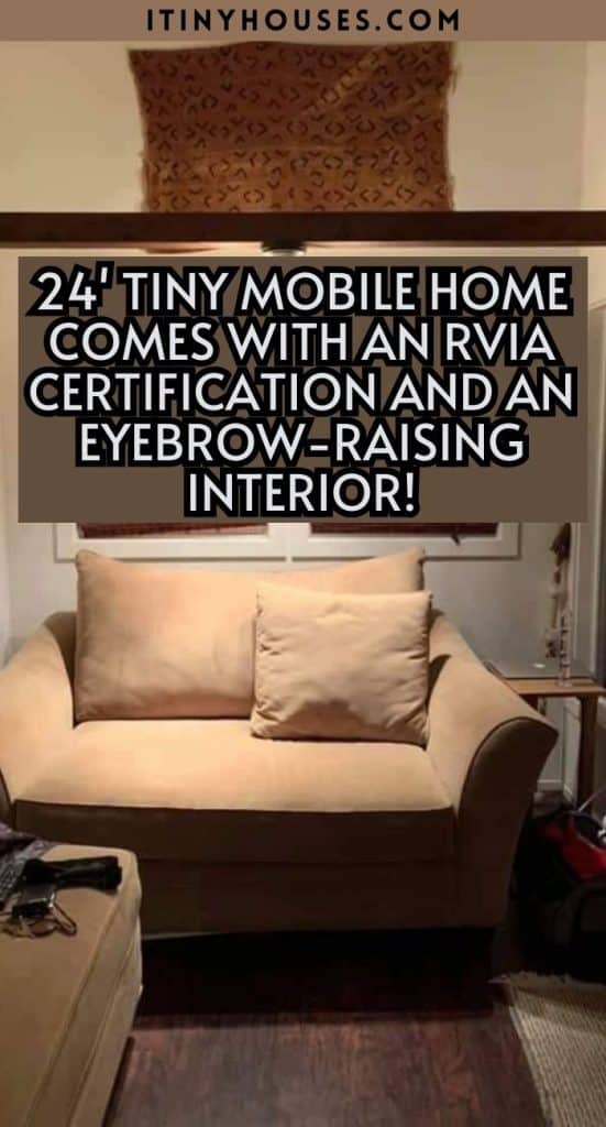 24' Tiny Mobile Home Comes With an RvIA Certification and an Eyebrow-raising Interior! PIN (2)