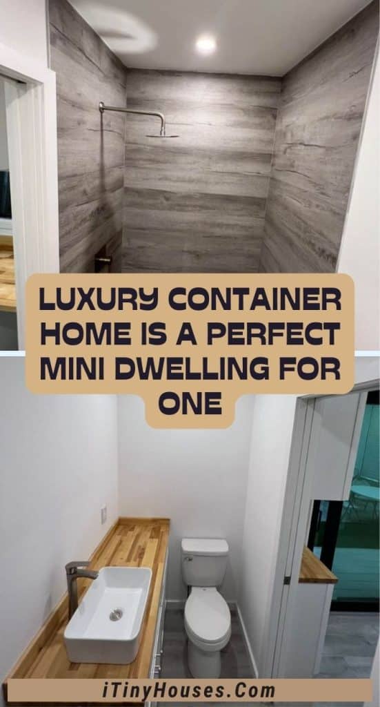 Luxury Container Home Is a Perfect Mini Dwelling for One PIN (2)