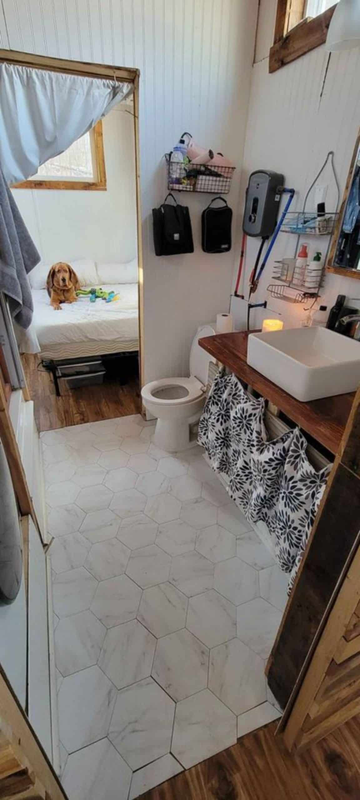 standard toilet in bathroom